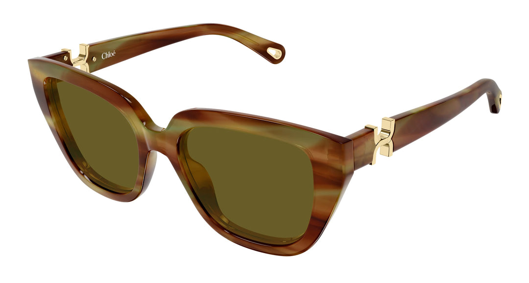 Chloé CH0410S-004 53 Damen