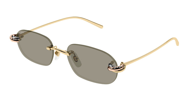 Cartier CT0686S-003 55 Unisex