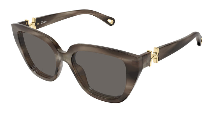 Chloé CH0410S-002 53 Damen