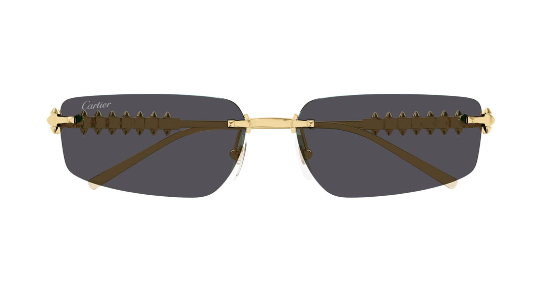 Cartier CT0544S-002 58 Unisex