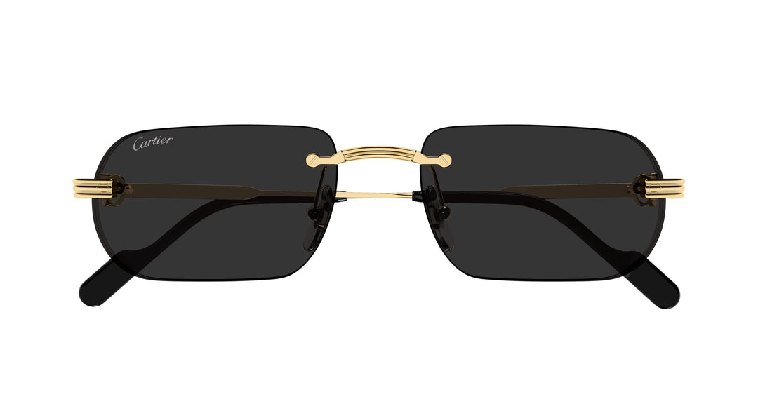 Cartier CT0577S-001 55 Herren