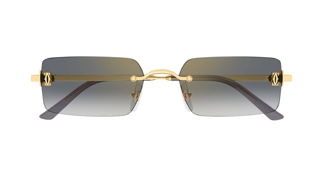 Cartier CT0672S-005 56 Unisex