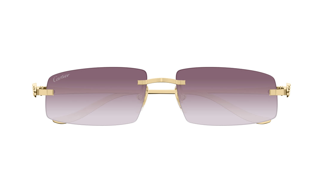 Cartier CT0505S-004 58 Unisex