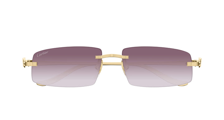 Cartier CT0505S-004 58 Unisex