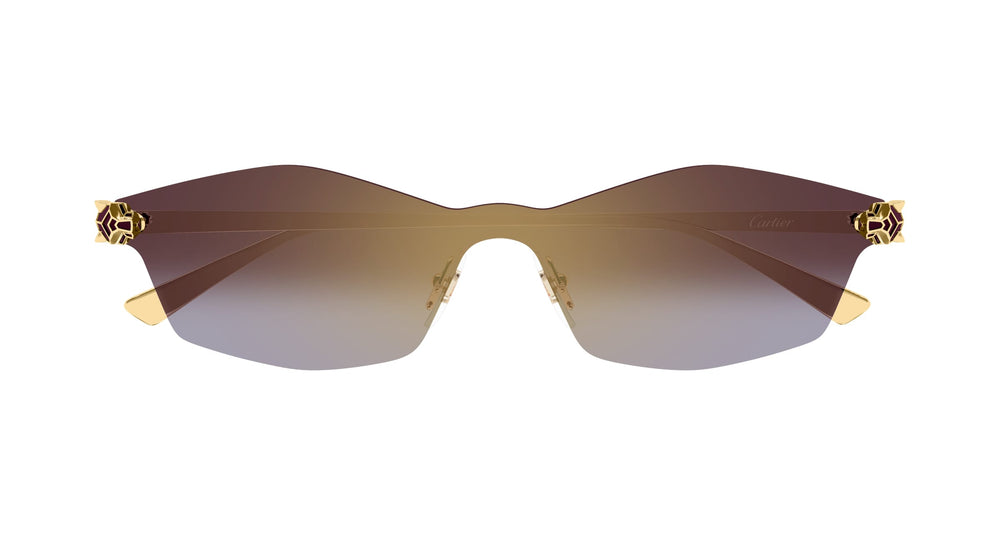 Cartier CT0678S-004 99 Unisex