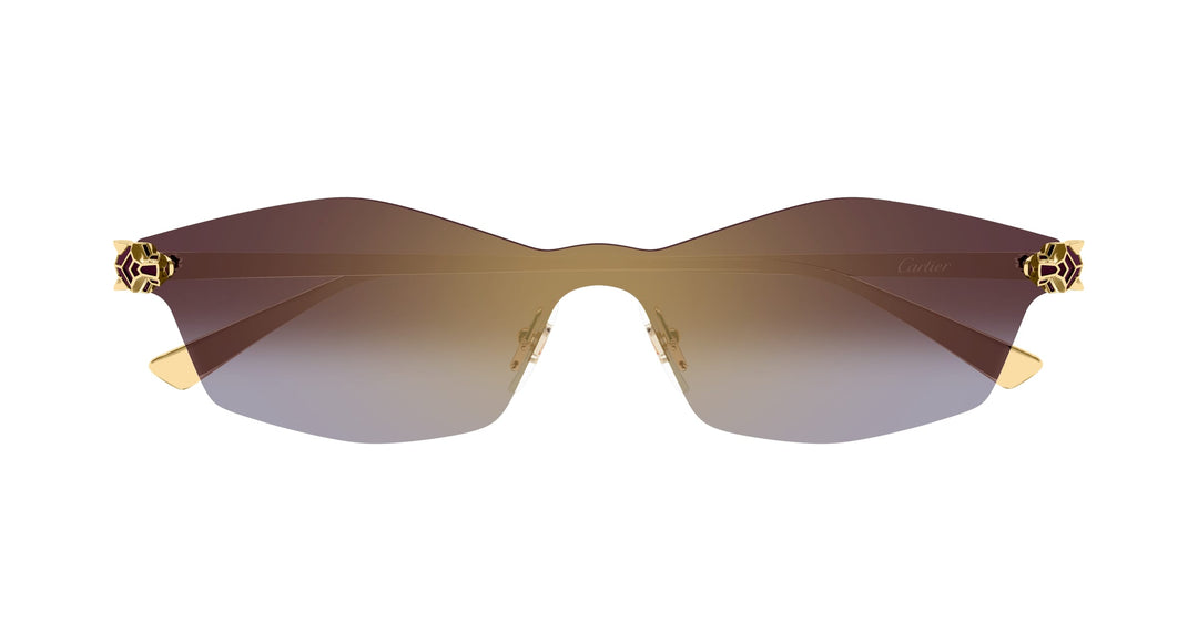 Cartier CT0678S-004 99 Unisex