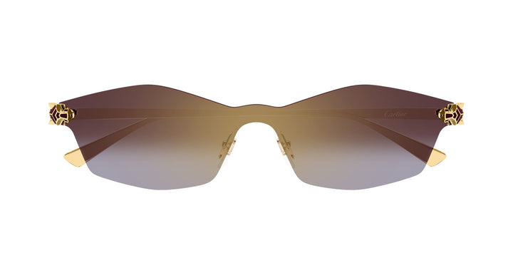 Cartier CT0678S-004 99 Unisex