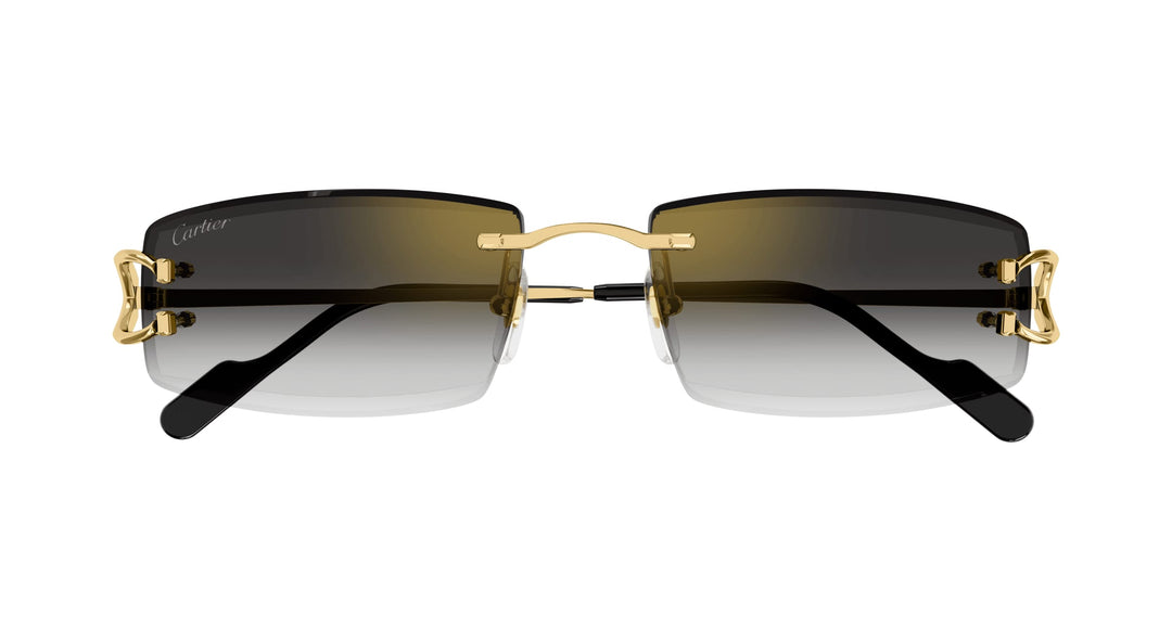 Cartier CT0465S-001 56 Herren