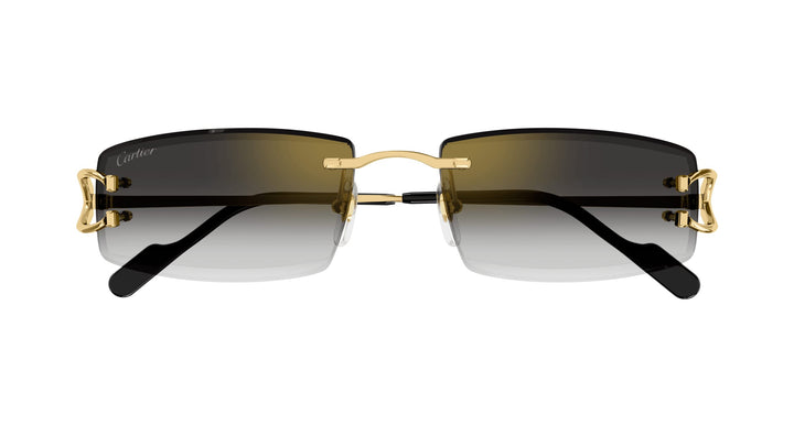 Cartier CT0465S-001 56 Herren