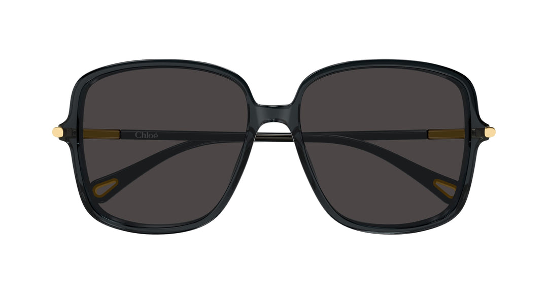 Chloé CH0396S-001 57 Damen