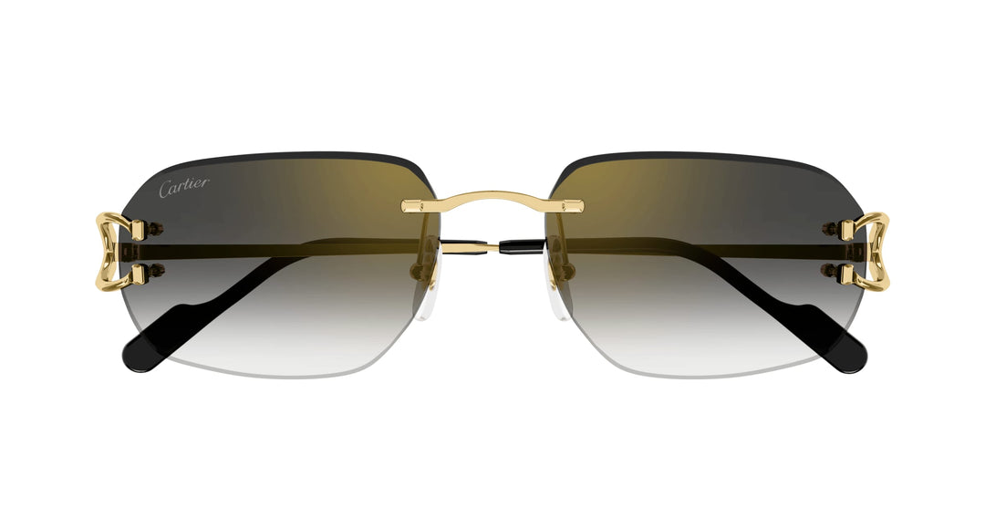 Cartier CT0468S-001 58 Unisex