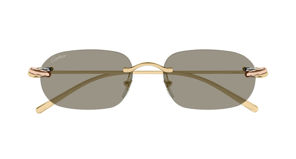 Cartier CT0686S-003 55 Unisex