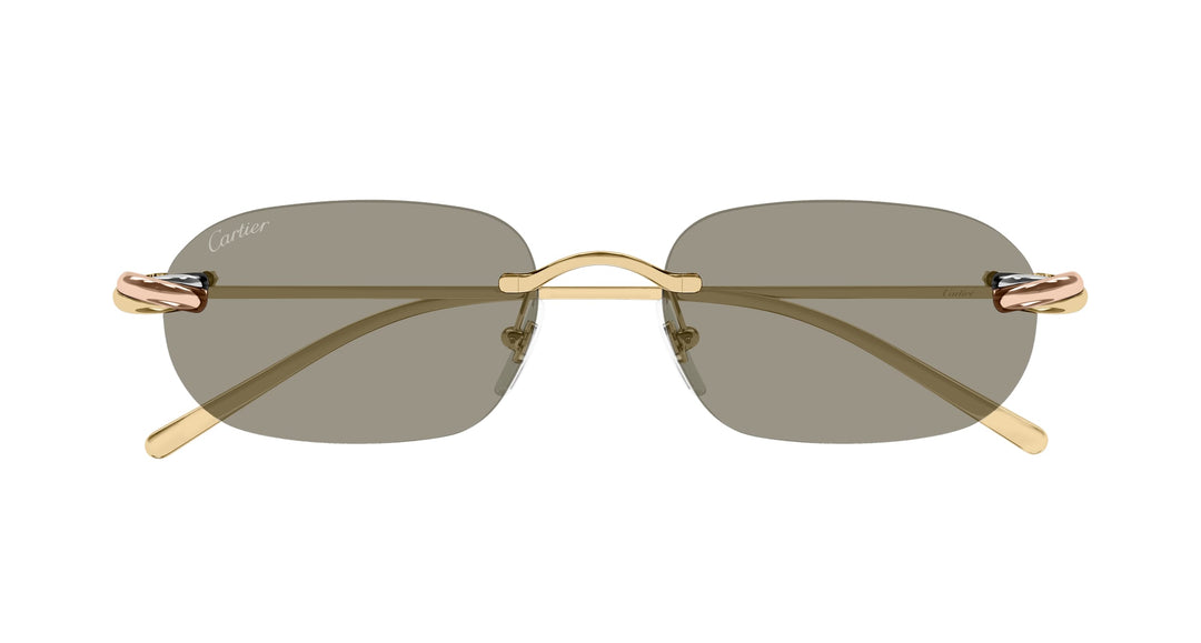 Cartier CT0686S-003 55 Unisex