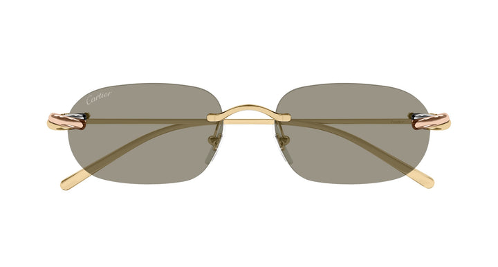 Cartier CT0686S-003 55 Unisex