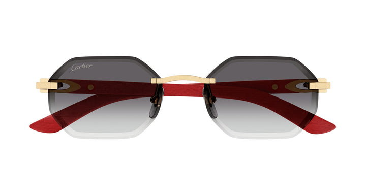 Cartier CT0439S-003 54 Herren