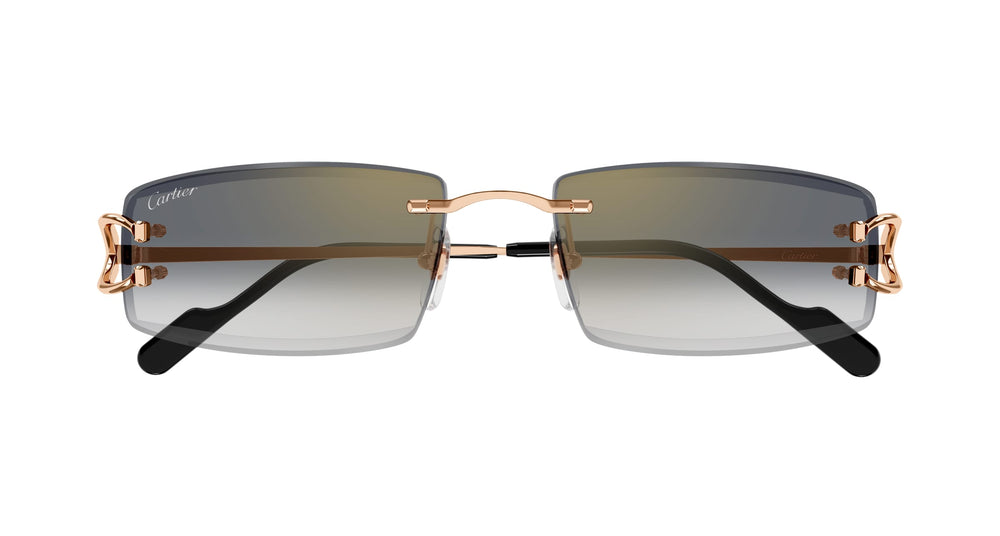 Cartier CT0465S-009 56 Herren