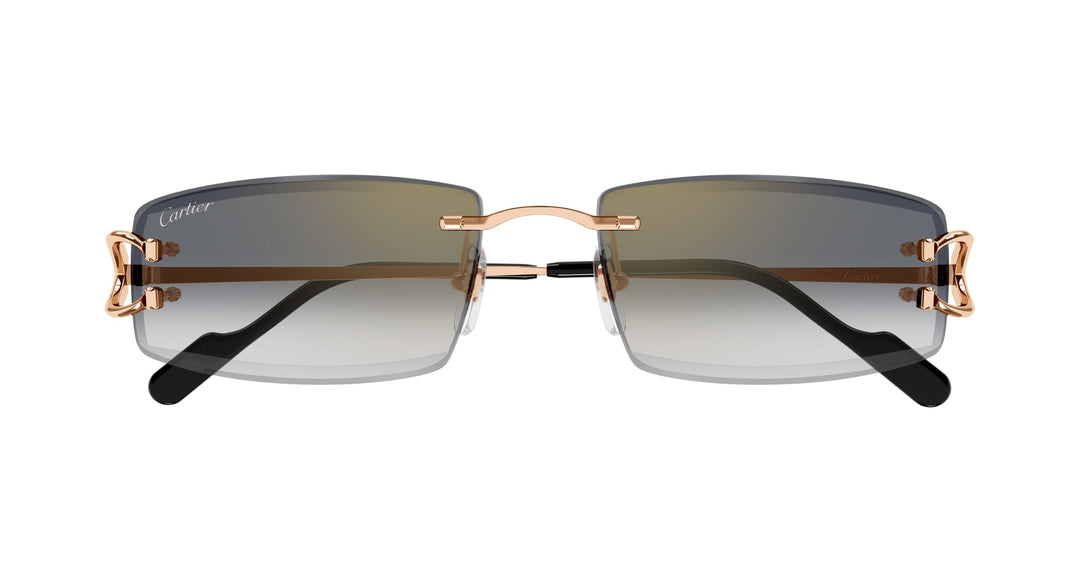 Cartier CT0465S-009 56 Herren