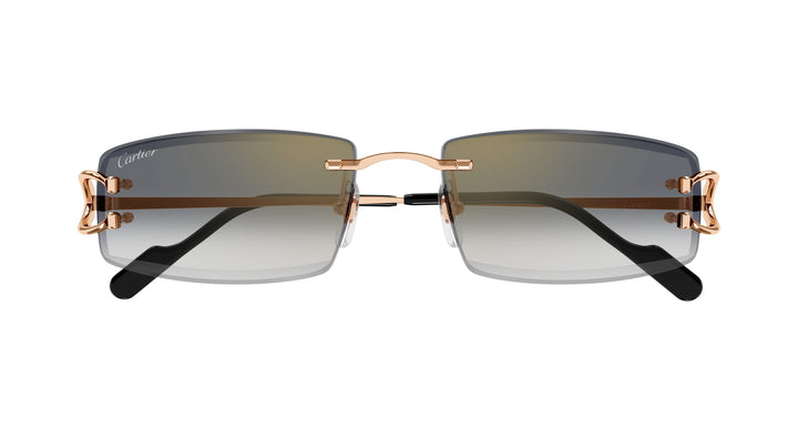 Cartier CT0465S-009 56 Herren