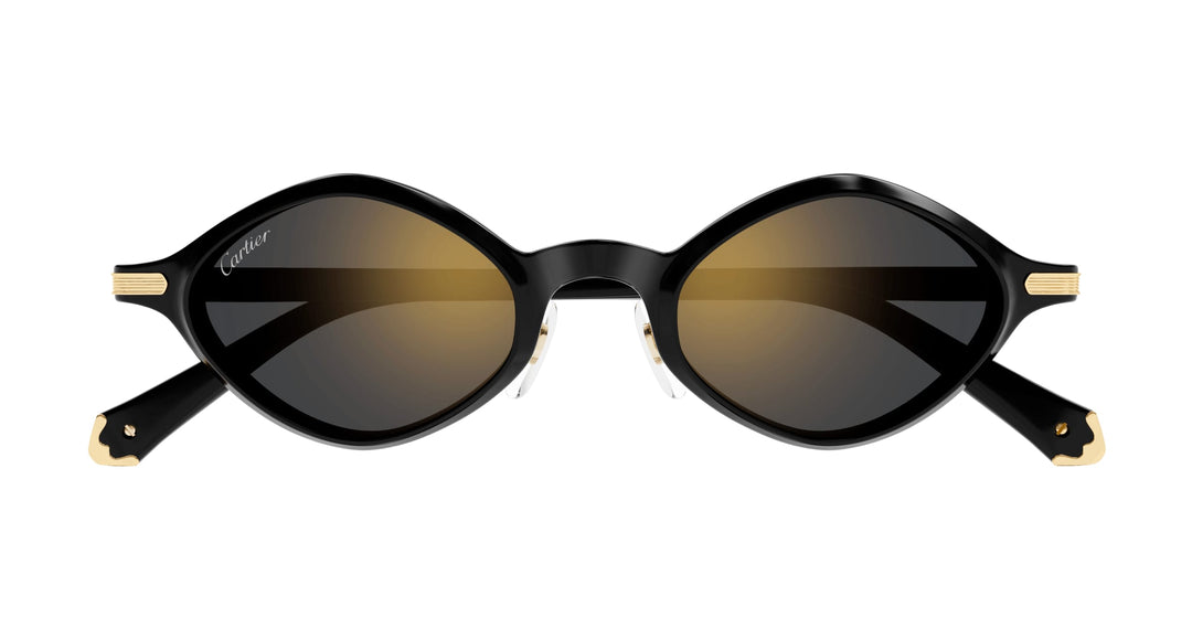 Cartier CT0540S-001 48 Unisex