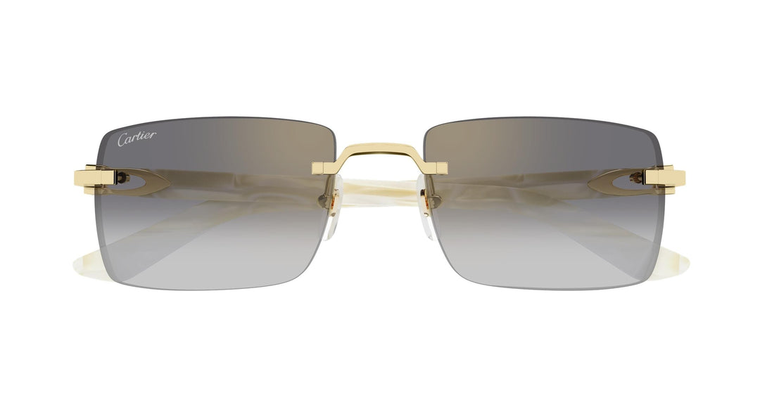 Cartier CT0579S-003 55 Herren