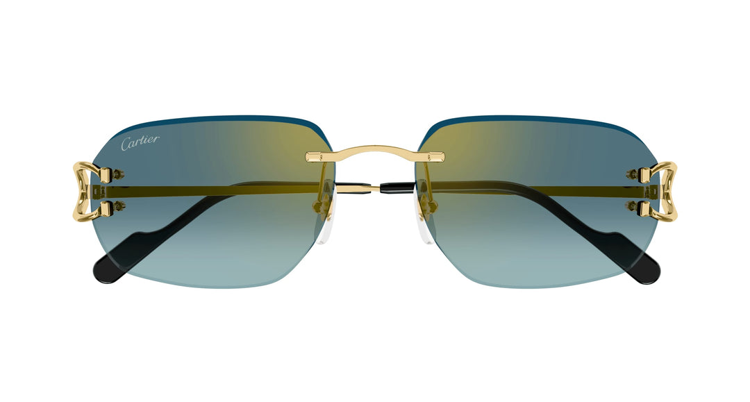 Cartier CT0468S-003 58 Unisex