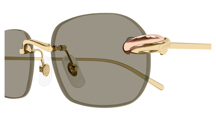 Cartier CT0686S-003 55 Unisex