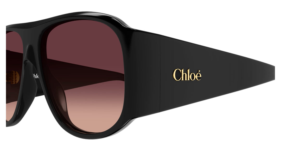 Chloé CH0347S-007 60  Damen