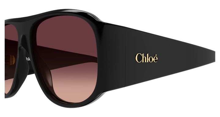 Chloé CH0347S-007 60  Damen