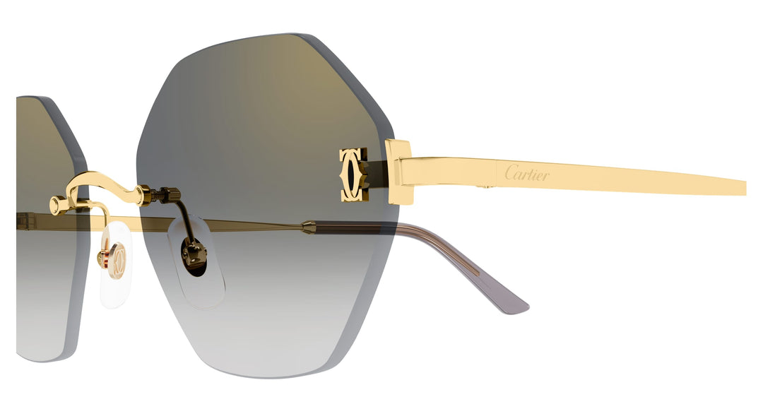 Cartier CT0671S-001 54 Damen