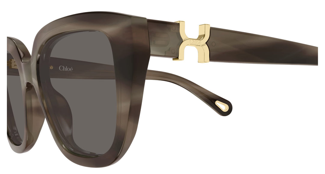 Chloé CH0410S-002 53 Damen