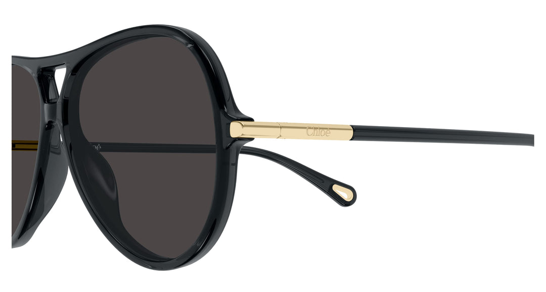 Chloé CH0395S-001 59 Damen