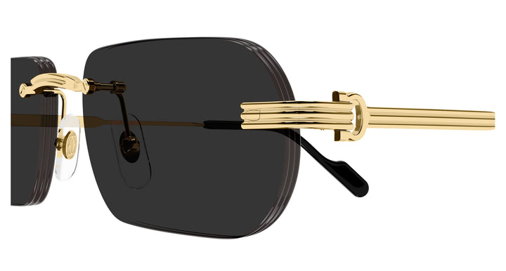 Cartier CT0577S-001 55 Herren