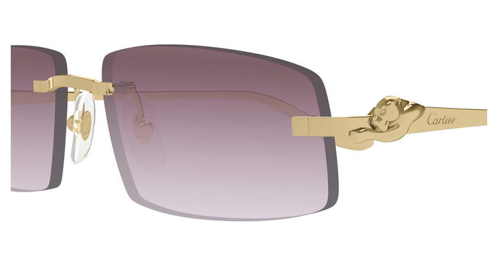 Cartier CT0505S-004 58 Unisex