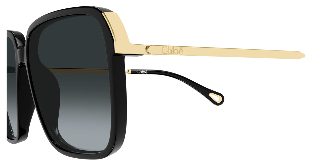 Chloé CH0405S-001 59 Damen