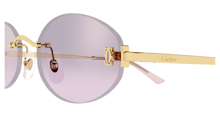 Cartier CT0592S-003 55 Unisex