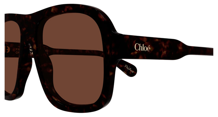 Chloé CH0331S-002 58 Damen