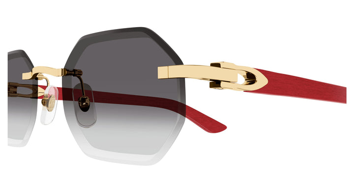 Cartier CT0439S-003 54 Herren