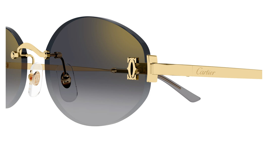 Cartier CT0592S-001 55 Unisex