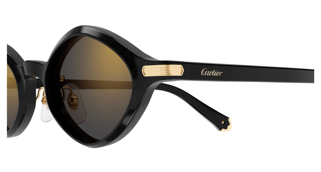 Cartier CT0540S-001 48 Unisex