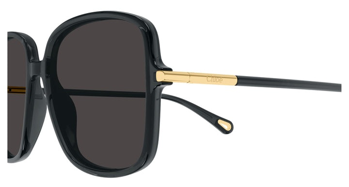 Chloé CH0396S-001 57 Damen