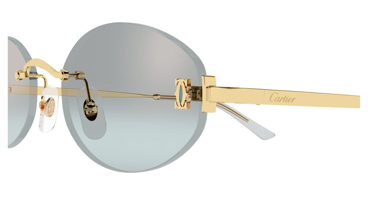 Cartier CT0592S-004 55 Unisex