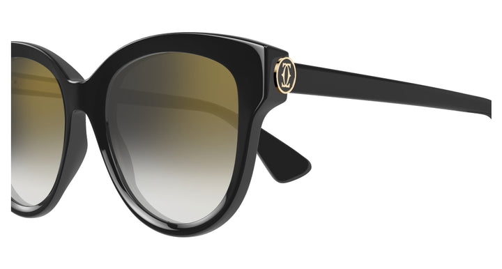 Cartier Sonnenbrille CT0506SA-001