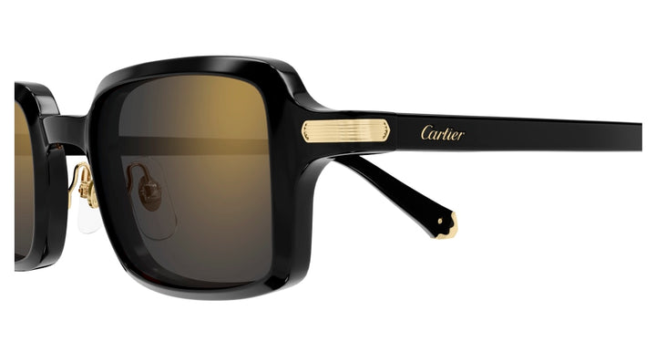 Cartier CT0539S-001 49 Unisex